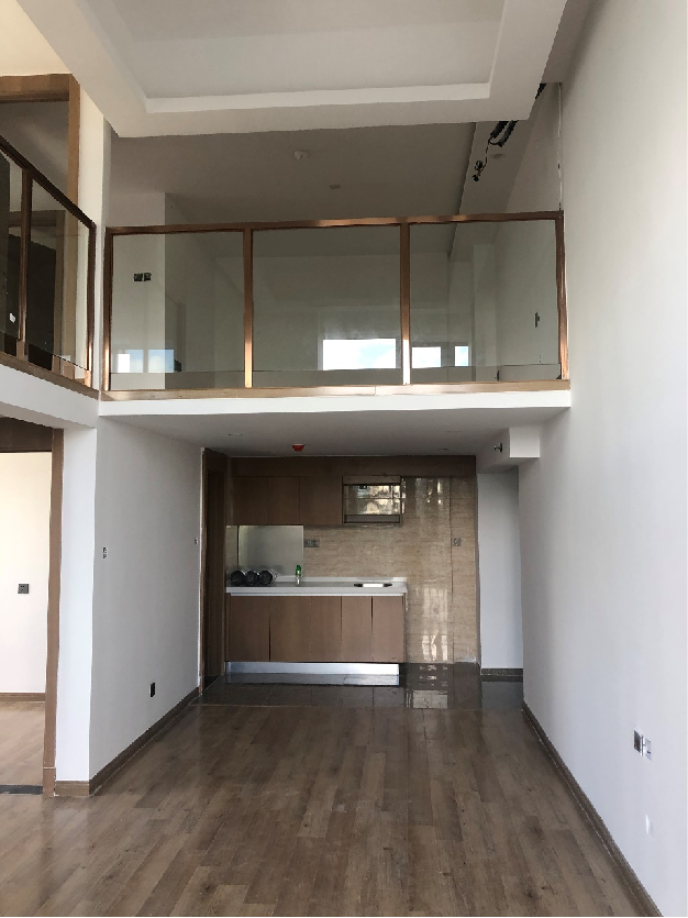 珠海优派城市广场LOFT夹层项目插图3